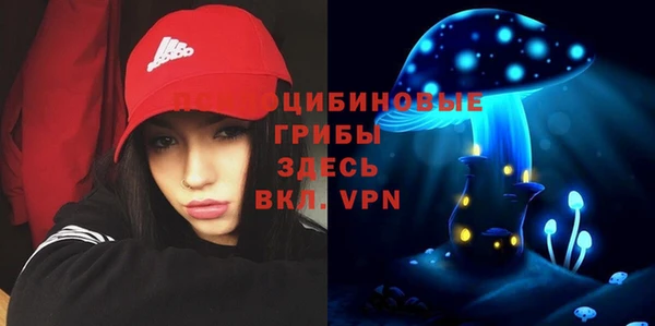 мдма Богородицк