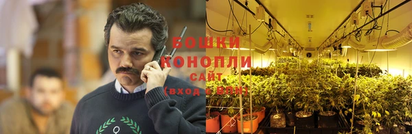 трава Богородск